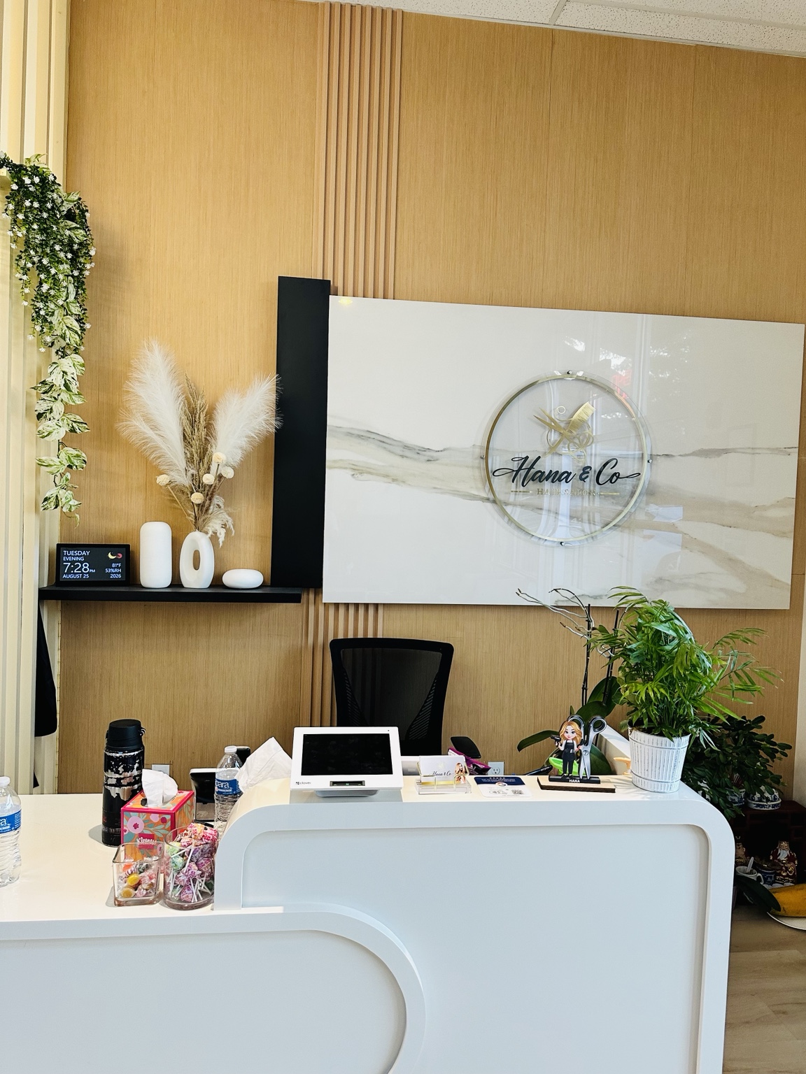 A Hana and Co stylist carefully cutting a client's hair